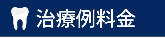 治療例料金